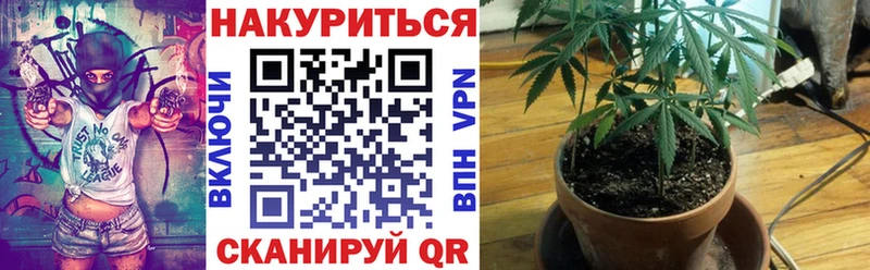 Купить наркотики сайты Печора kraken как зайти  Бошки Шишки  А ПВП  Меф мяу мяу  COCAIN  ГАШ 
