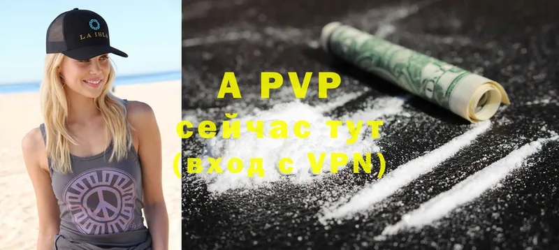 Alpha PVP СК КРИС  Печора 