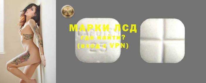 apvp Нея