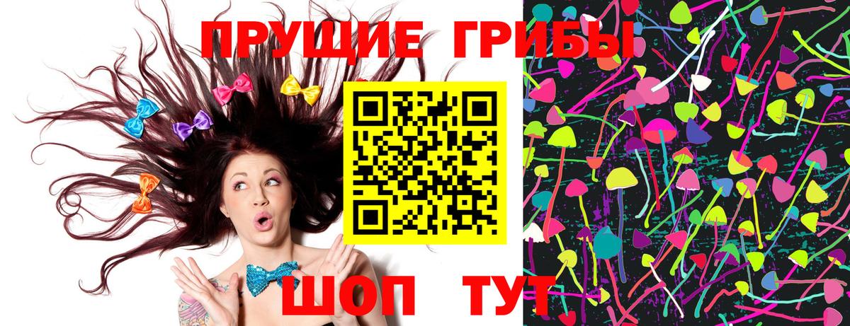 Галлюциногенные грибы ЛСД  даркнет сайт  Галлюциногенные грибы GOLDEN TEACHER  Печора  Вход с VPN 